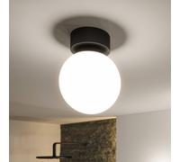 Paulmann Gove lámpara de techo 1x5 W negro 71071