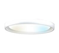 Plafón LED redondo Zonda (40 W, Ø x Al: 500 cm x 90 mm, Gris/Plata, Blanco frío)
