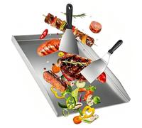Plancha de acero inoxidable con 2 espátulas, apta para parrillas de gas y de carbón