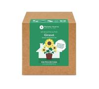 Planeta HUERTO | Kit de Autocultivo Girasol Planeta Huerto - Cultiva Tus Propios Girasoles en Casa de Forma Fácil y Natural