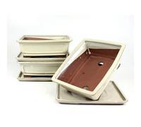 PLANETA HUERTO | Tiesto Bonsái Rectangular 25 cm con Plato Crema - Ideal para Bonsáis y Plantas en Interior
