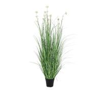 Planta Allium C-Pot H110
