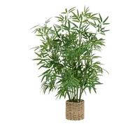 Planta Bambú con Maceta Natural - 100 Cm de Alto | Factory Cuadros