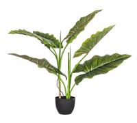 Planta Dieffenbachia C-Pot 7Hojas H78