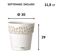 Planta en Florero Opera Cloe para Diseño Elegante Interior