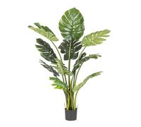 Planta Filodendro C-Pot 13Hojas H150