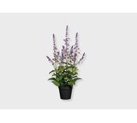 Planta floral artificial salvia lila 30,5x7cm
