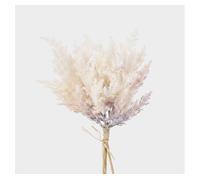 Planta floral erica crema 39cm marca conforama
