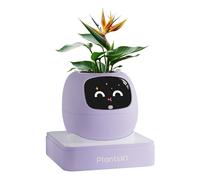 PLANTSIO Ivy Maceta Inteligente Decorativa hogar, compañero robótico, Cuidado Plantas, decoración Escritorio ordenada, Regalo Bonito, Maceta Inteligente para Mascotas (Violeta)