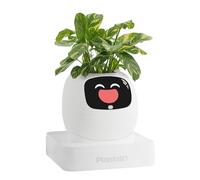 PLANTSIO Ivy Maceta Inteligente Decorativa hogar, compañero Vegetal robótico, Cuidado Plantas, decoración Escritorio, Regalo práctico, Maceta Inteligente para Mascotas (Nieve)