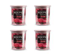 Plastic Forte - Juego de 4 Botes de Cocina Keeper Family 0.25L Ideal Despensa. Rosa