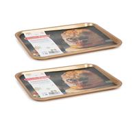 Plastic Forte Magnum - Juego de 2 Bandejas de Servicio Rectangulares. Ideales Navidad. Oro