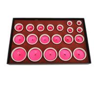 plplaaoo Relojes Profesionales Press Die Set Premium Calidad Metal Metal Dies 20 Piezas Case de Herramientas de reparación más cercana para entusiastas de los relojeros de 20 mm a 58 mm