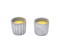 PLUSHOME Pack 2Vela Citronela larga duración,Cuenco Cemento Vela Citronela,Citronela frescor para la casa,habitación,etc. Jar 7cmx8cm