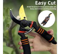Podadora de jardinería, herramientas para bonsái, tijeras de trabajo para jardín, tijeras de podar profesionales, accesorios, tijera agrícola, embellecedor de árboles frutales Picture