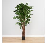 Poenia Arte Floral - Árbol FICUS Artificial 180cm - Ref 631362 - Realista - Tronco de Madera Natural - Árbol Decorativo Ideal para Hogar y Oficina - Sin Mantenimiento