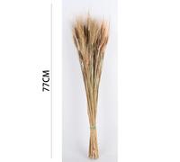 Poenia Arte Floral - Trigo Preservado 77cm - REF 7152 - Decoración del Hogar - DIY para Mesa - Boda