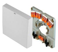 Pollmann HAD4-S Conector de Cocina con Bornas WAGO y Salida Doble