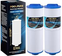 POOLPURE Cartucho de filtro de spa de repuesto para filtro FD2007 Compatible con PWW50L 4CH-949 FC-0172, SD-01143, Rising Dragon 50, filtro Waterway Teleweir 50 m² Paquete de 2 cartuchos