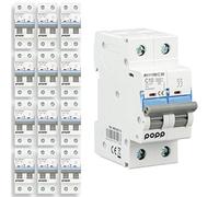 POPP® Interruptor Automático Magnetotérmico 2P serie MSC82 gama Industrial CURVA C corte 6000A 6A,10A,16A,20A,25A,32A,40A,63A Pack 6,12 (Pack 12, 10A)
