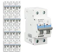 POPP® Interruptor Automático Magnetotérmico 2P serie MSC82 gama Industrial CURVA C corte 6000A 6A,10A,16A,20A,25A,32A,40A,63A Pack 6,12 (Pack 12, 20A)