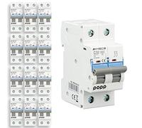 POPP® Interruptor Automático Magnetotérmico 2P serie MSC82 gama Industrial CURVA C corte 6000A 6A,10A,16A,20A,25A,32A,40A,63A Pack 6,12 (Pack 12, 32A)
