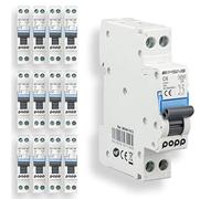 POPP® Interruptor Automático Magnetotérmico estrecho serie DPN MSN8 gama Doméstica CURVA C corte 4500A DPN 6A,10A,16A,20A,25A,32A,40A Pack 6,12 (Pack 12, 6A)
