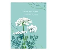 Positively Green Greeting Cards: Wedding - The best is yet to come (Pack of 6)