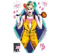 Poster Dc Birds of Prey Harley Quinn, 91,5 x 61 cm, 170 g/m2
