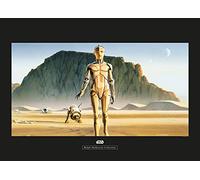 Póster de Star Wars Classic RMQ Droids - Tamaño: 70 x 50 cm - Comar - Póster, impresión artística (sin marco)