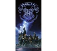Poster de Vidrio Harry Potter