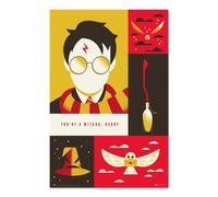 Poster Harry Potter 100 Aniversario Wb