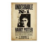 Grupo erik póster harry potter undesirable n1 - lamina decorativa har