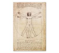 Postereck - 0125 - Dibujo de Leonardo da Vinci (Salud Humana) - Arte de Pared Lámina, Impresión Educativa, Arte Clásico - Poster - 3:2 30,0 cm x 20,0 cm