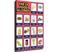 PQYSMVVG The 14 Food Allergens Healthy Eating List Complete Chart Set Educational Wall-Art Great Home Decor for Kitchen Living Room Bedroom Office(Unframed,16x24inch(40x60cm))