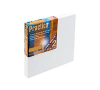 Practica economía Estirada algodón Artista ácido Libre Pintura Lienzo Panel Multi SZ/Color 2pks