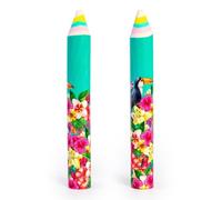 PracticDomus Conjunto 2 Gomas de Borrar Extra-Grandes en Formato Lápiz con Motivos muy Coloridos y Originales (Tucán)
