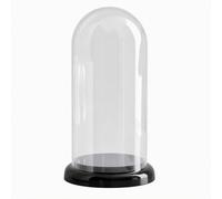 predolo Caja Expositora con Cúpula te, Grande, Negro Misterioso | Protección el Polvo, Estuche Expositor con Tapa, Caja Exhibición con Base, para Escritorio