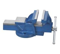 Prensa de Tornillo Columna Taladro Banco Fervi Fundido Con Fauces MM 125 Cambio