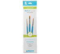Daler Rowney Estuche de pinceles Aquafine Mango corto 400