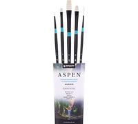 Princeton Aspen 6500 - Juego de 5 Pinceles de Pintura Profesional - Pinceles acrílicos Princeton - Pincel sintético para Pintura al óleo acrílico y Gouache - Filbert Striper Plano y Redondo