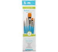 Princeton - Select Sintético Value Set 22- Set 6 Pinceles