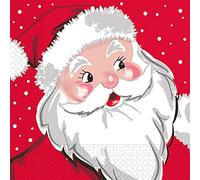 Procos 93891 - Servilletas de Papá Noel, 20 unidades, tamaño 33 x 33 cm, 3 capas, FSC® Mix, Navidad, Papá Noel
