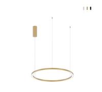 ProduceShop - Lámpara colgante LED diseño redondo minimalista 80cm Hoop Gold