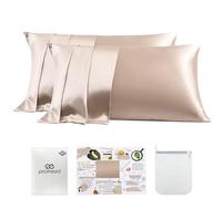 PROMEED Juego de 2 Fundas de Almohada de Seda de 23 Momme con Cremallera, 3ª generación Grado 6 100% Seda de Morera, Juego de 2 Fundas de Almohada refrescantes para Personas Que Duermen con Calor