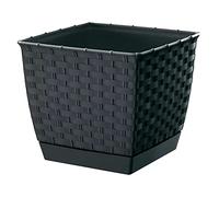 Prosper Plast drlk220-s433 22 x 22 x 18,9 cm RATOLLA Cuadrado Maceta - Color Gris (Juego de 12)