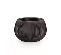 Prosperplast beton bowl de plástico con depósito en color cemento negro, 11 (alto) x 14,4 (ancho) x 14,4 (profundo) cms