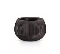 Prosperplast Beton Bowl de plástico con depósito en Color Cemento Negro, 19,5 (Alto) (Ancho) x 29 (Profundo) cms