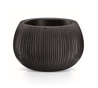 Prosperplast beton bowl de plástico con depósito en color cemento negro, 21,8 (alto) x 37 (ancho) x 37 (profundo) cms