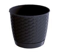 Prosperplast Maceta Ratolla Redonda 2L Mocca para Jardín Blue
